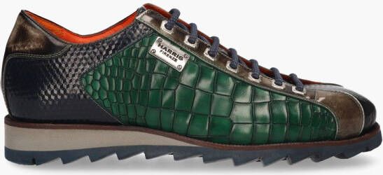 Harris 2817 Groen Multicolor