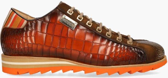 Harris 2892 Bruin Oranje