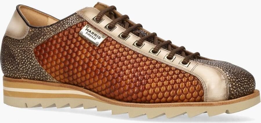 Harris 2817 Bruin Beige - Foto 2