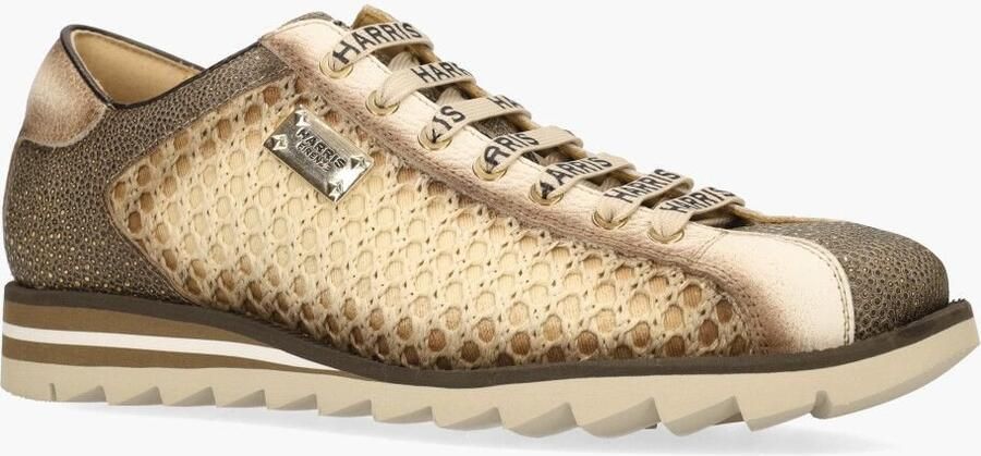 Harris 2817 Bruin Off-White - Foto 2