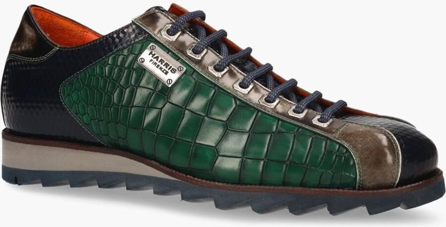 Harris 2817 Groen Multicolor - Foto 1