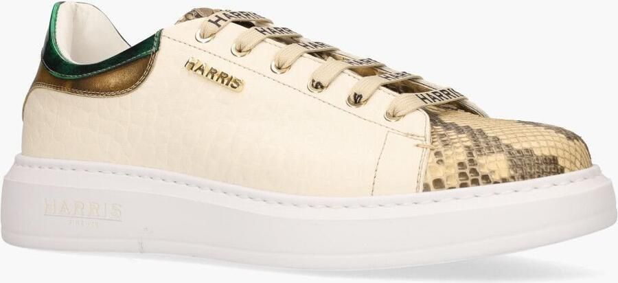 Harris Paul25 Multicolor - Foto 2