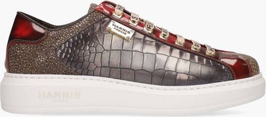 Harris Manchester Multicolor