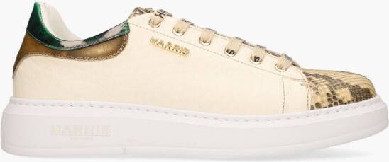 Harris Paul25 Multicolor