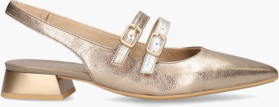 Hispanitas CHV243462 Goud