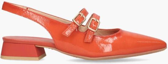 Hispanitas Hispani CHV243462 Rood Slinback