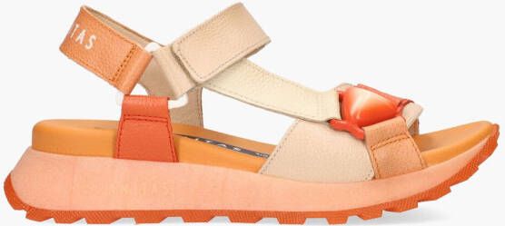 Hispanitas CHV253896 Oranje Multicolor