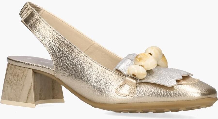 Hispanitas HV253945 Goud