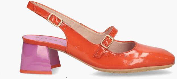 Hispanitas HV243318 Rood Paars