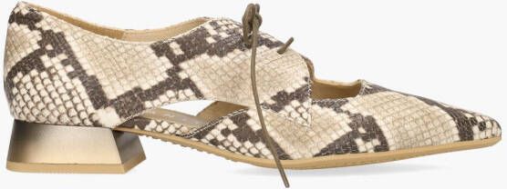 Hispanitas HV253858 Beige Bruin