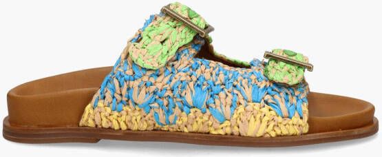 Inuovo 397013 Groen Multicolor