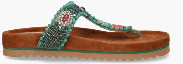 Di lauro Jas Exports Rowena Groen Multicolor