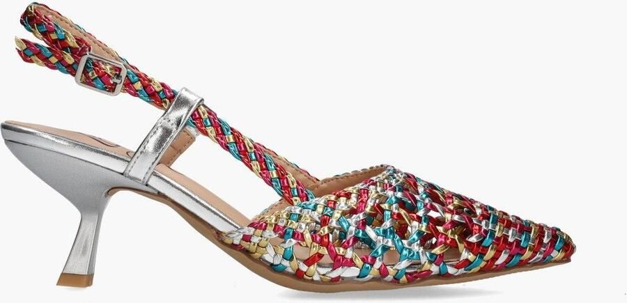 Lisa & Jo Jisari Waqi Multicolor