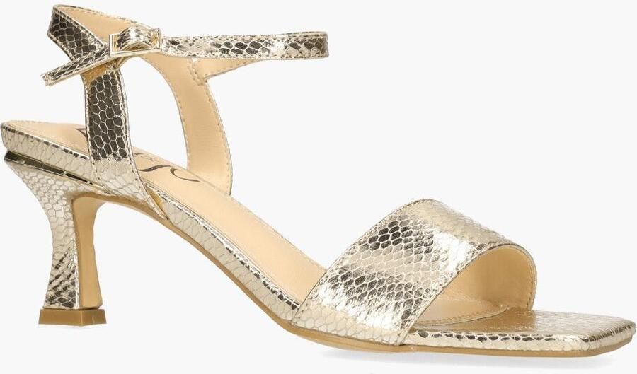 Lisa&Jo Meli Wing Goud