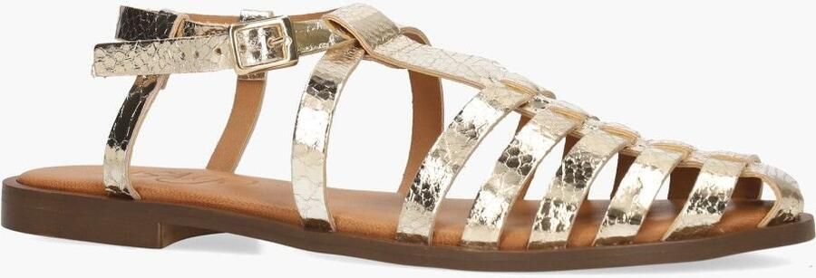 Lisa&Jo Cypres Wiva Goud