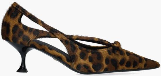 Lola cruz 038Z90BK Leopard