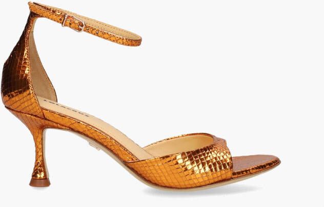 Lola cruz Petrina Oranje