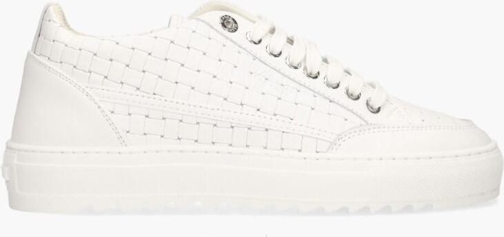 Mason garments Tia Bardolino 7D