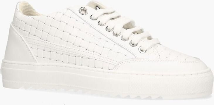 Mason garments Tia Bardolino 7D