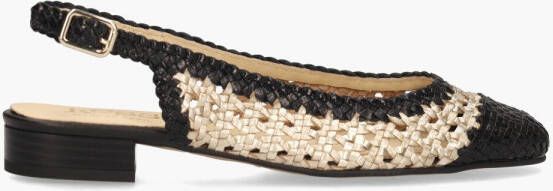 Kess Maya Tropic 17040 Goud Zwart