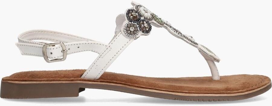 Miss behave Si Zayen Wit