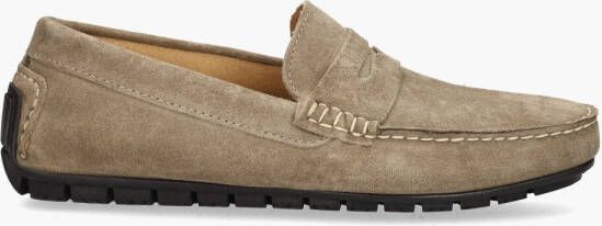 Montemario Roger Taupe