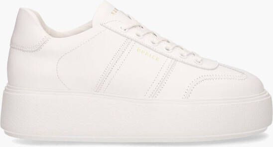 NUBIKK Lage Sneakers Dames Elise Wing Maat: 41 Materiaal: Leer Kleur: Wit - Foto 5