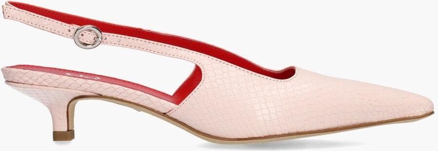 Odare O'dare Anna Lichtroze