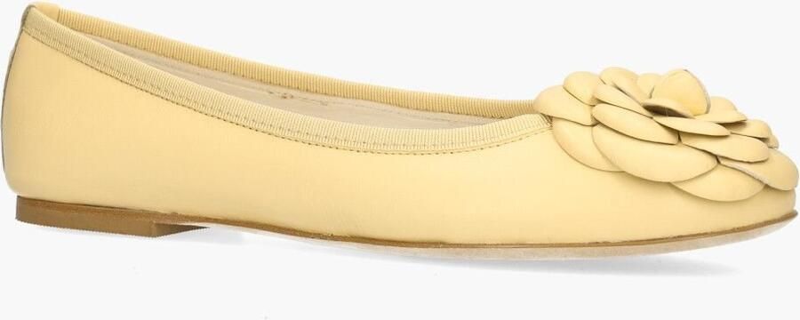 Odare O'dare Carmen Fiori Lichtgeel