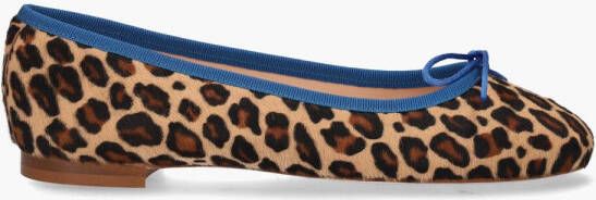 Pascucci 100 Bruin Multicolor