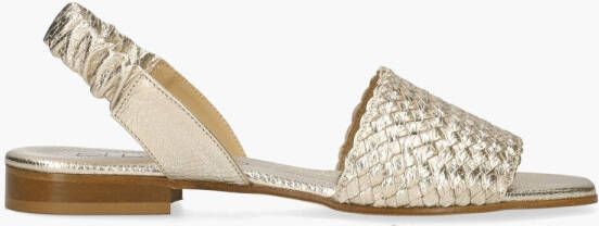 Pascucci 107 Goud