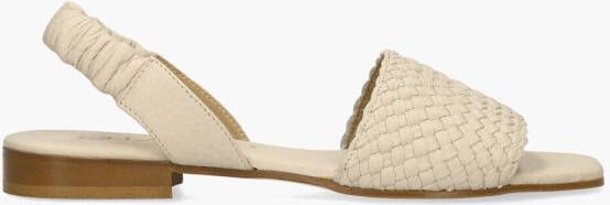 Pascucci 107 Off-White