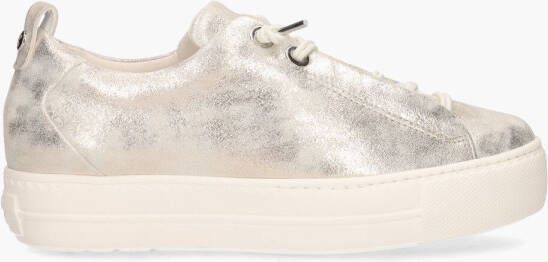 Paul green 5017-123