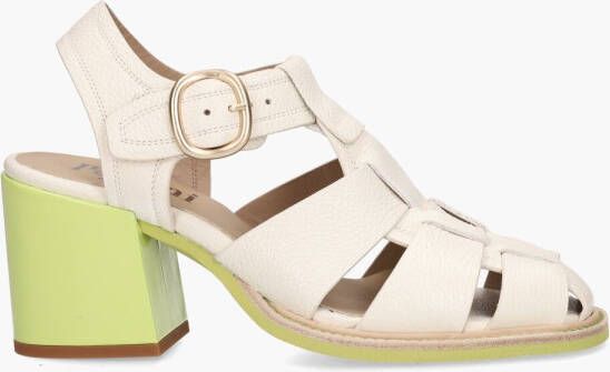 Pertini 32621 Off-White Groen - Foto 2