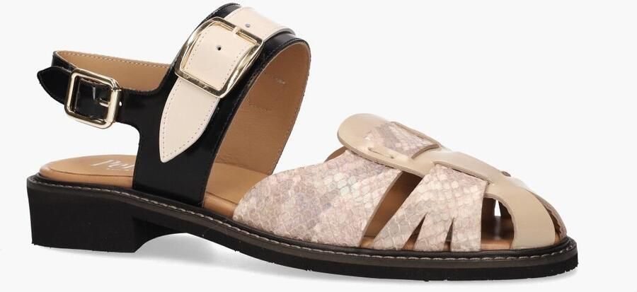 Pertini 32636 Beige Zwart - Foto 2