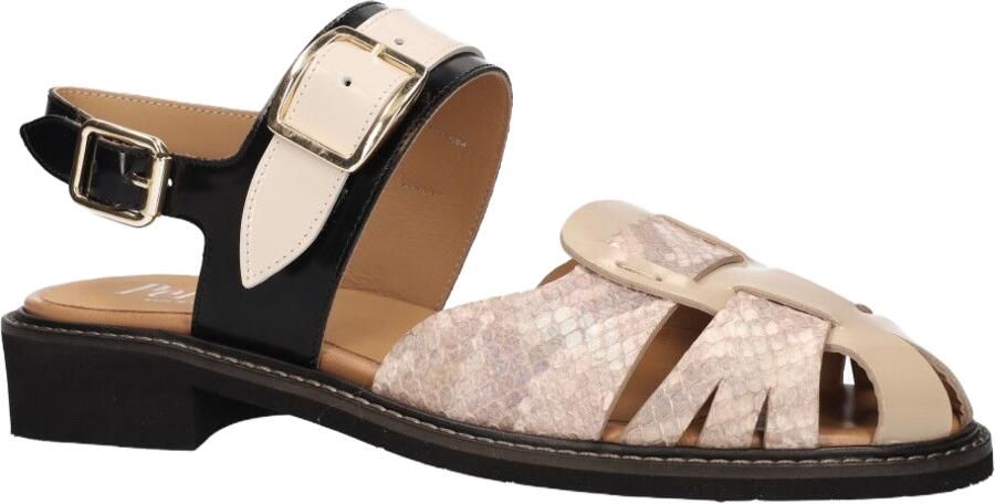 Pertini 32636 Beige Zwart - Foto 2