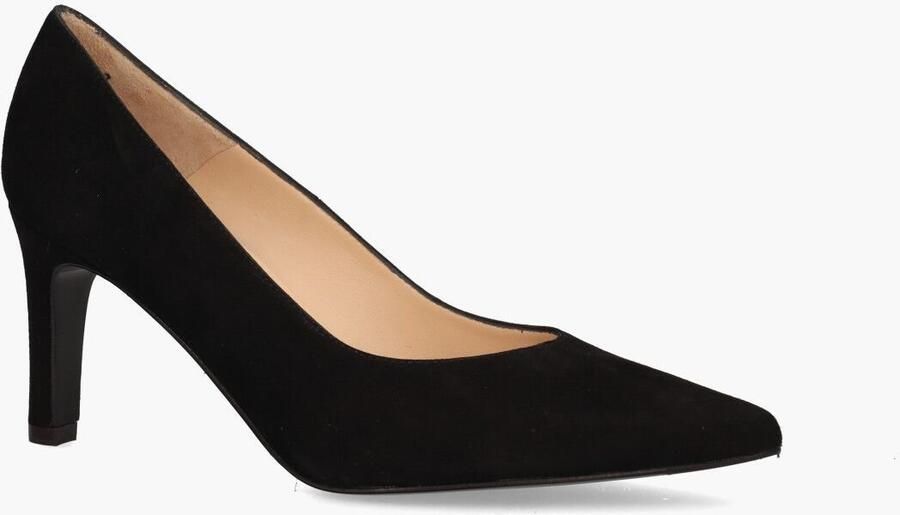 Peter kaiser Telse 34911 240