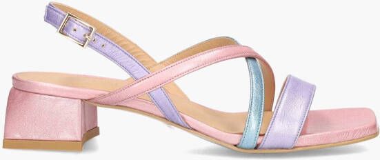 Di lauro Platone 3000 Lichtroze Multicolor