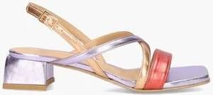 Platone 3000 Lila Multicolor