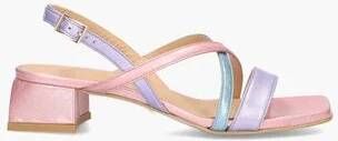 Platone 3000 Lichtroze Multicolor