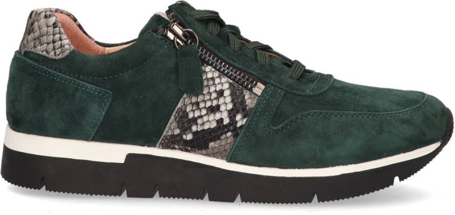 Rapid soul 17939-19 Groen