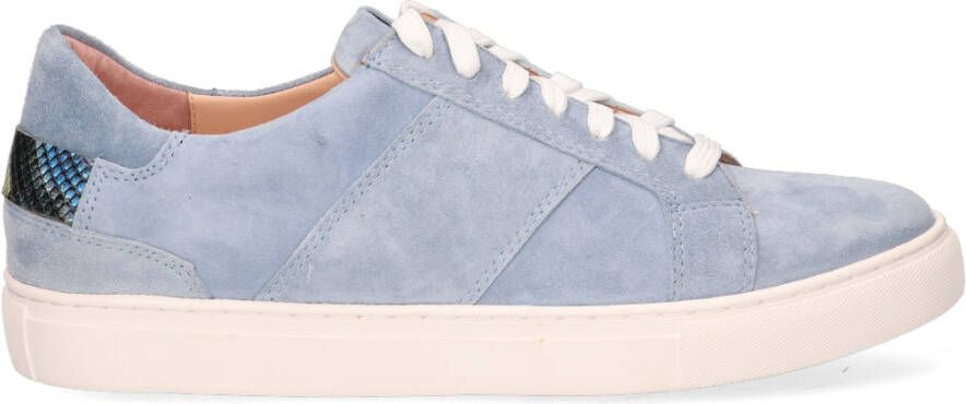 Rapid soul Mace Lichtblauw