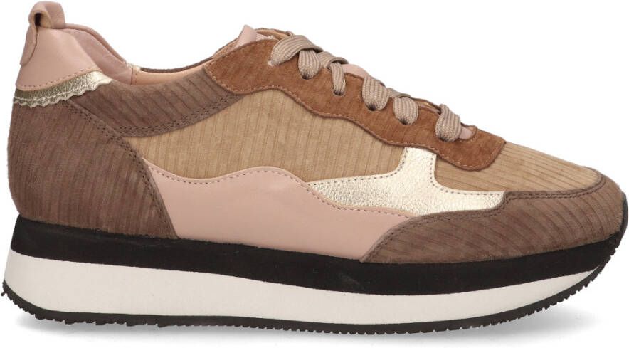 Rapid soul PR17 Multicolor