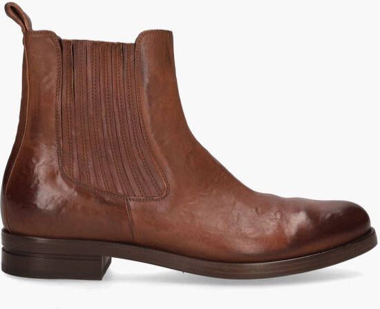 Sassetti 3028 Bruin