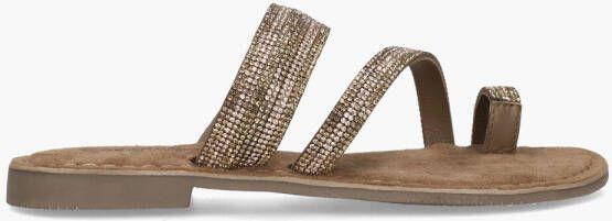Miss behave Si ha Brons