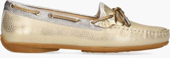 Si Wari Goud Zilver Brons