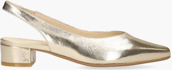 Gioia Stilan Wagar Goud