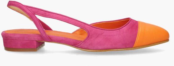 Toral Luisa Roze Oranje
