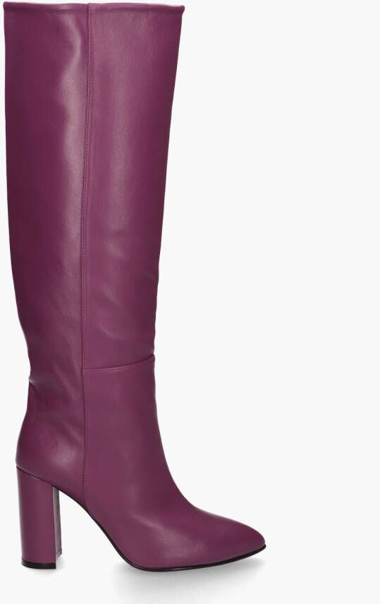 Toral TL-12591 Paars