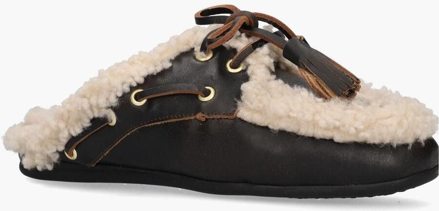 Toral Kilian Donkerbruin